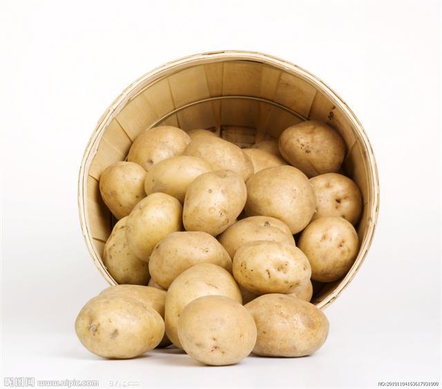 什么样的土豆不能吃？ 预防长芽有妙招