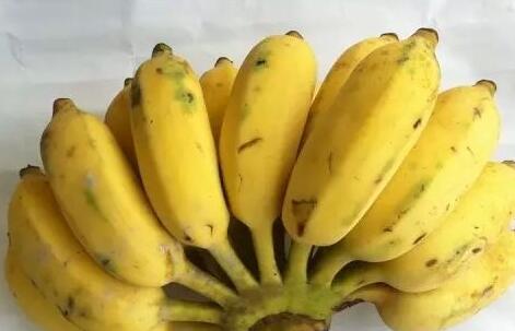 香蕉好吃有利健康 饮食原则要谨记