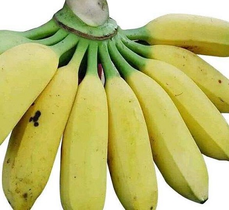香蕉和荔枝等水果都不易空腹