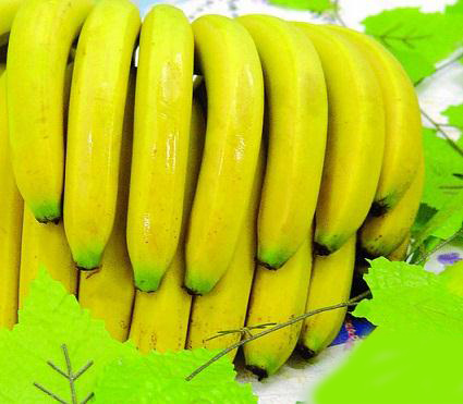 吃香蕉禁忌：未熟透的香蕉易致便秘
