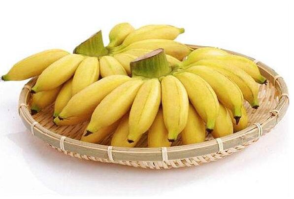 香蕉减肥不当引发贫血高血糖