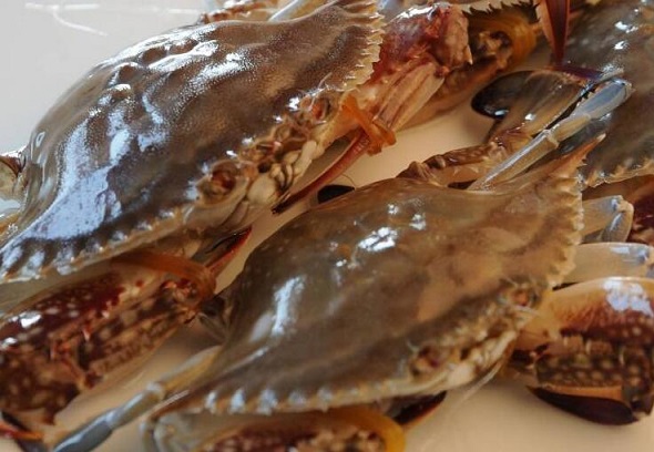 螃蟹的吃法与营养价值饮食之道
