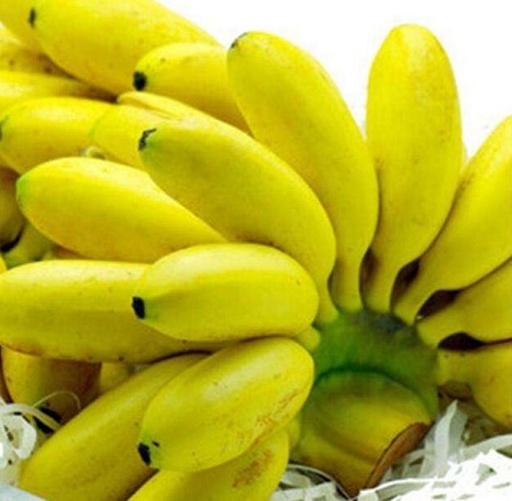 香蕉好吃有营养 会吃才能更健康饮食之道