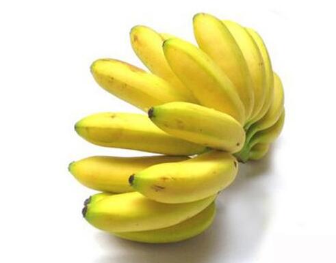 学习怎样挑选香甜软滑的香蕉