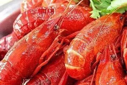 苏格兰禁食小龙虾 中国吃货