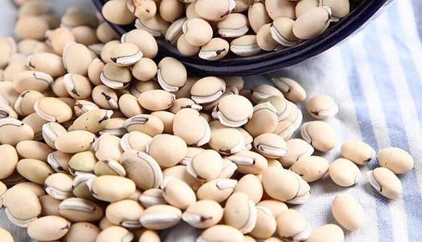 白扁豆的功效与作用_营养价