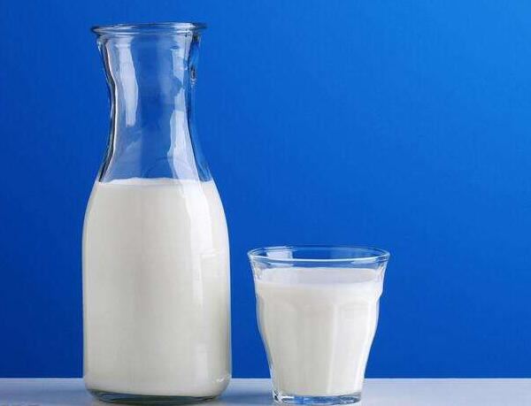 全脂牛奶的功效与作用_营养