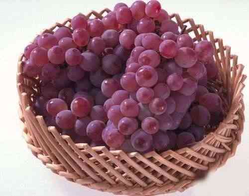 日常保肝护肝多吃葡萄可以轻