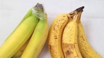 简简单单帮你辨识香蕉是不是催熟的