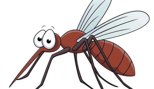 薄荷能驱蚊子吗 刺激性气味小范围内驱蚊