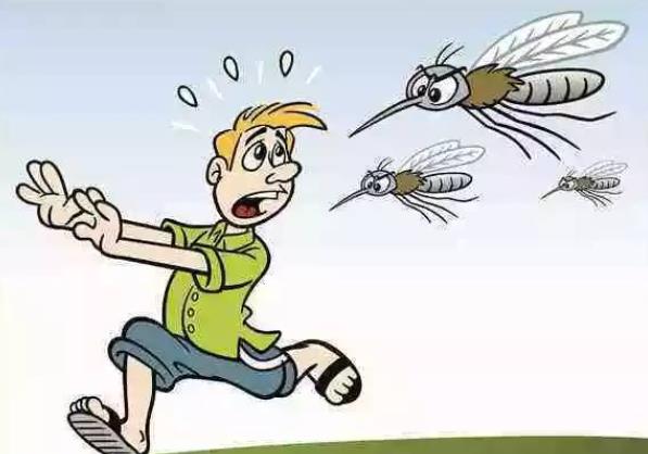 如何赶走耳边的蚊子 蚊子最怕什么东西