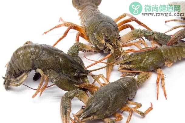 小龙虾寄生虫在哪个部位 吃