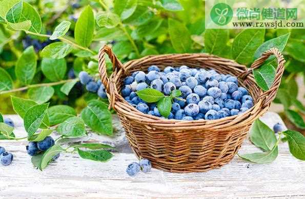 孕妇血糖高能吃蓝莓吗 蓝莓