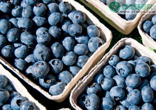蓝莓干可以泡水喝吗 延缓衰老保护视力促进食欲