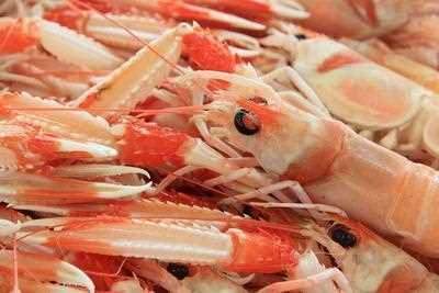 吃虾子过敏病状主要有哪些 吃虾后皮出现肤过敏怎么