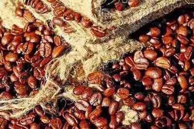 咖啡豆种类和味道是怎么样的 介绍咖啡豆的种类和营