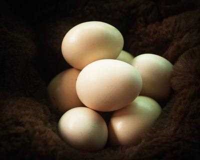蒸鸡蛋含胆固醇高吗 胆固醇