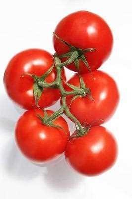 高血脂症能吃西红柿吗 高血脂会有什么表现