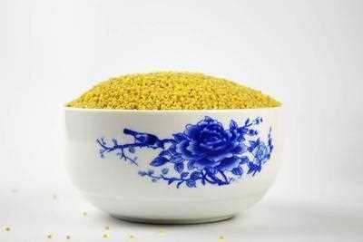 黄河油小米的功效有哪些 黄
