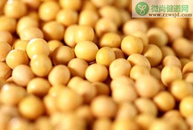 黄豆蛋白质含量多少 36.3g/100g,可增强免疫力