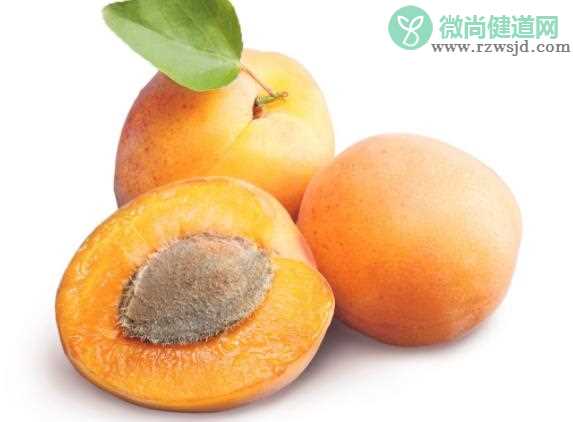 孕妇吃杏子会流产吗 温热性水果氢氰酸造成滑胎
