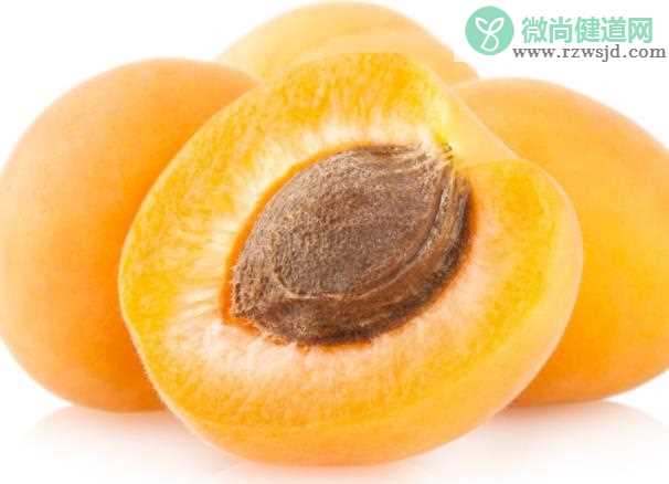 哺乳期可以吃杏子吗 苦杏仁苷破坏人体健康