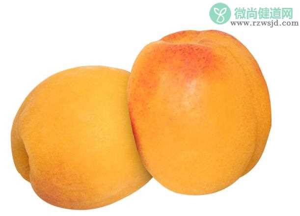 吃杏子会长胖吗 杏属于寒性