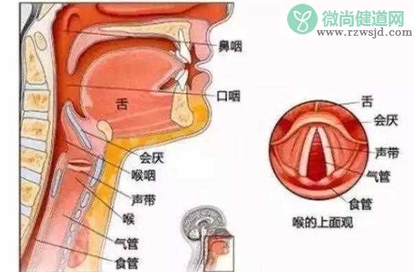 会厌炎多久算是过了危险期 如何判断会厌炎危险期结