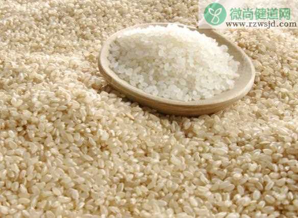 糙米是什么米 稻谷脱壳后留下皮层和胚米粒