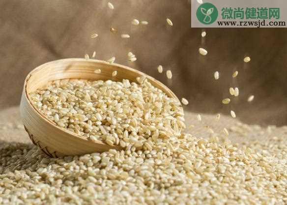 糙米能代替大米当主食吗 糙米是碳水吗