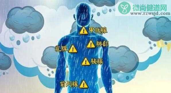 湿气重怎么调理 湿气重喝什么茶好