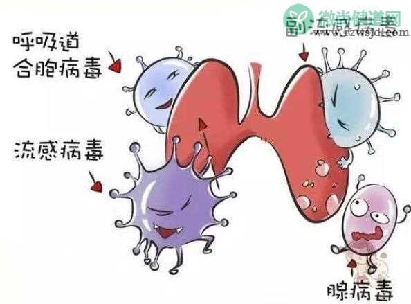 呼吸道合胞病毒感染症状 呼