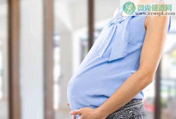 五个月的胎儿有多大 怀孕五个月肚子有多大