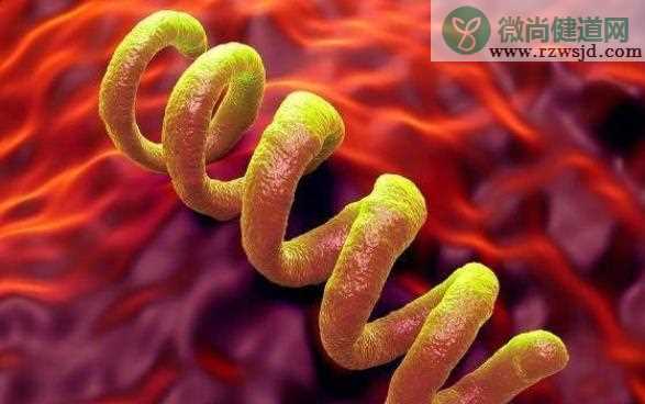 梅毒是血液传染吗 梅毒的传播途径是什么