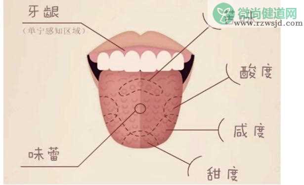 人的舌头可以分辨出多少种味