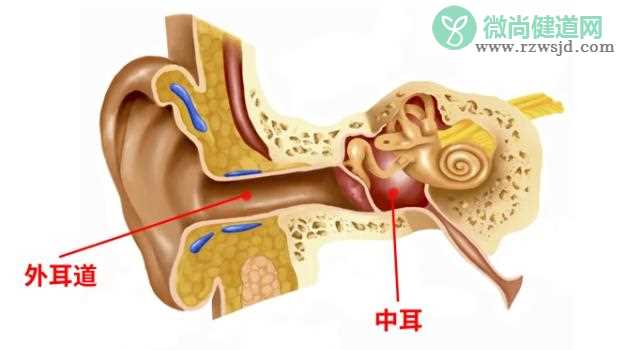 中耳炎和外耳道炎的区别？中耳