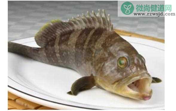 食用石斑鱼有哪些功效与作用