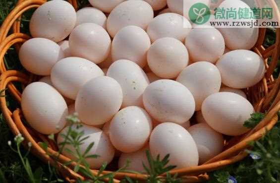 鸽子蛋一天可以吃几个 吃鸽子蛋有哪些禁忌