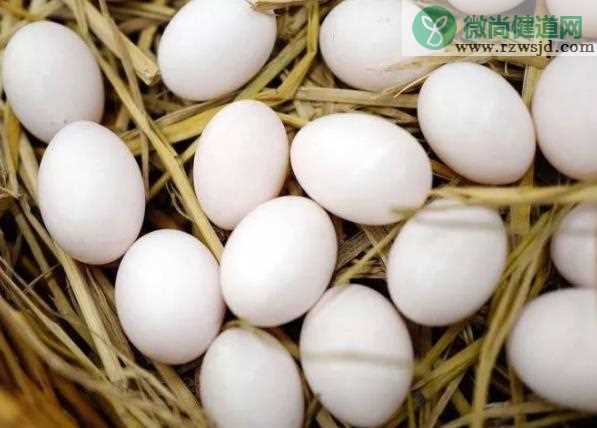 鸽子蛋的最佳吃法是什么 鸽子蛋煮多长时间有营养
