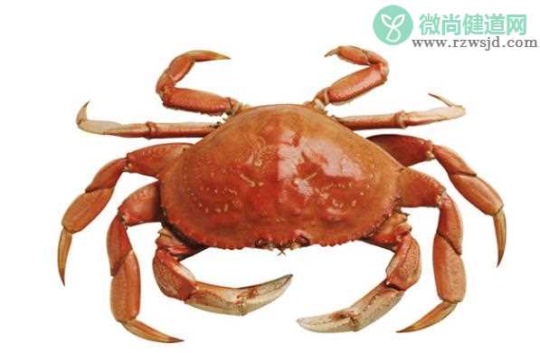 刚死的大闸蟹能吃吗 死螃蟹为什么不能吃