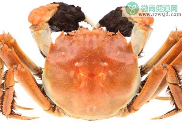 螃蟹一次最多吃几只 螃蟹怎么吃不寒
