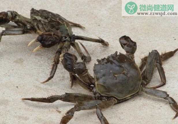 螃蟹没熟透吃了会怎样 加重
