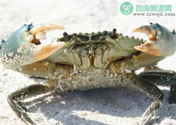 吃螃蟹过量会怎么样 加重肠胃道负担营养浪费