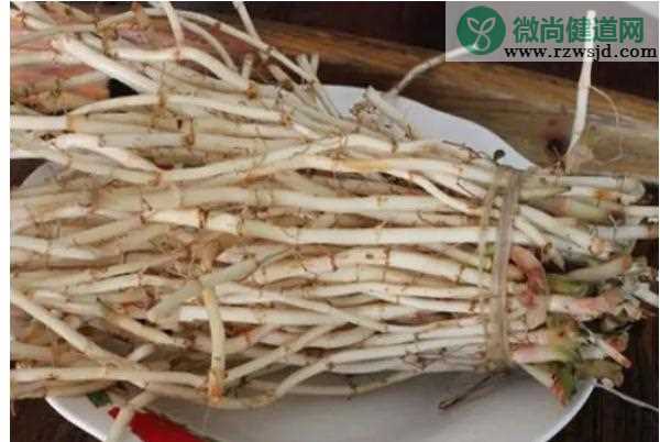 鱼腥草怎么挑选嫩？鱼腥草可以