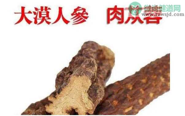 肉苁蓉保质期多久？新鲜肉苁蓉