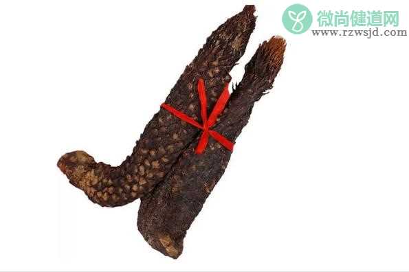 吃肉苁蓉要注意哪些？肉苁蓉枸