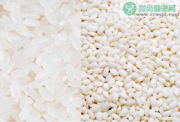粳米和糯米有什么区别？粳米和籼糯米的区别？
