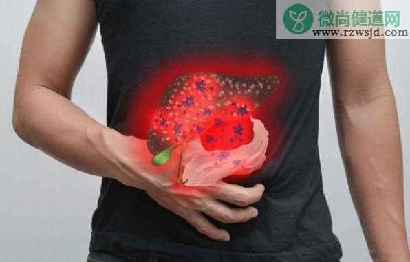 脂肪肝的危害有多大 脂肪肝怎样治疗能除根
