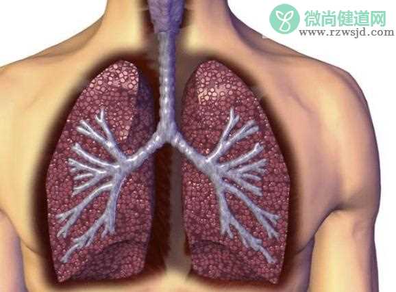 早期肺癌怎么治？年轻人也会得
