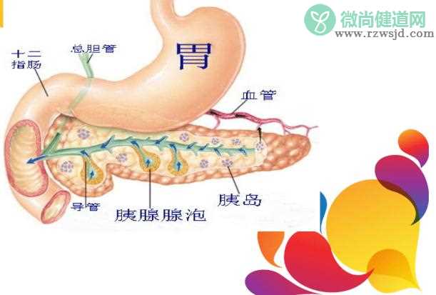 胰腺癌的症状有什么呢？胰腺癌造成的原因有什么呢？